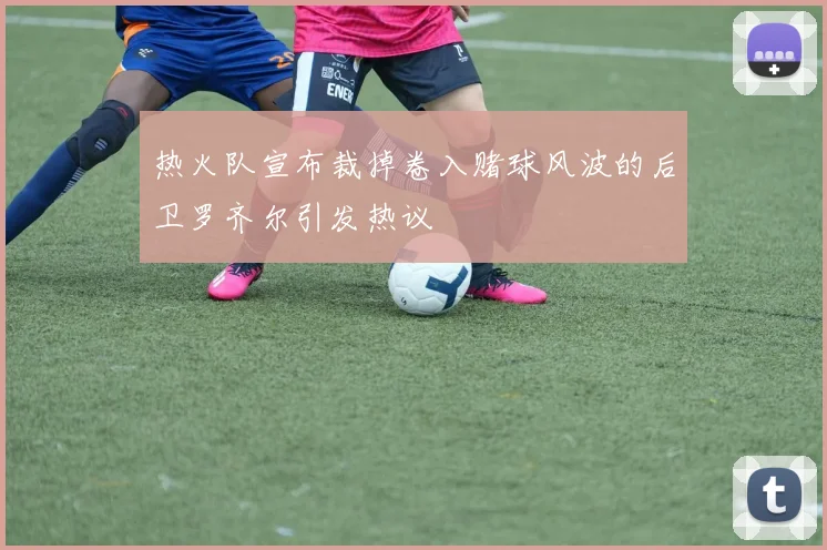 热火队宣布裁掉卷入赌球风波的后卫罗齐尔引发热议
