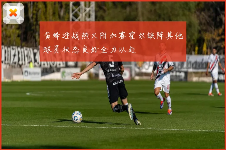 黄蜂迎战热火附加赛霍尔缺阵其他球员状态良好全力以赴
